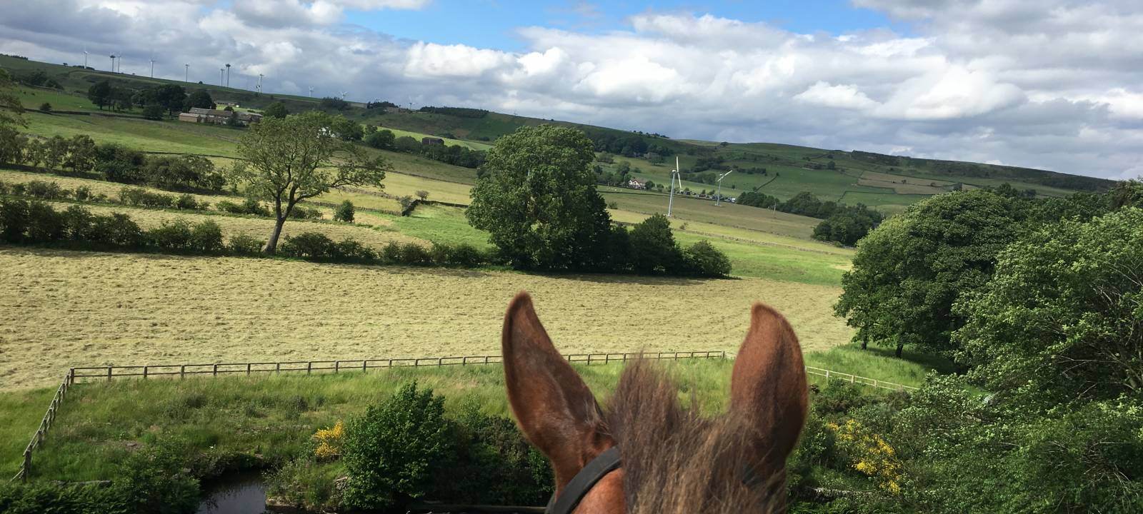 Scenic countryside view taken from horseback with horses ears and mane in foreground
